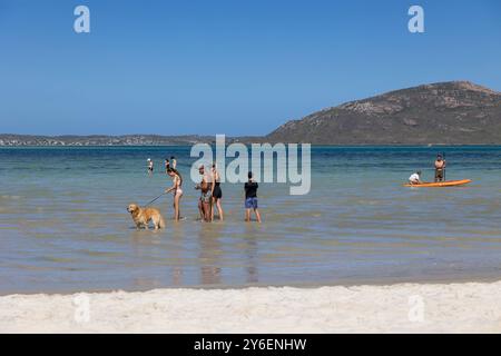 Shark Bay en été, soleil, eaux peu profondes et moments joyeux au bord de la lagune Banque D'Images