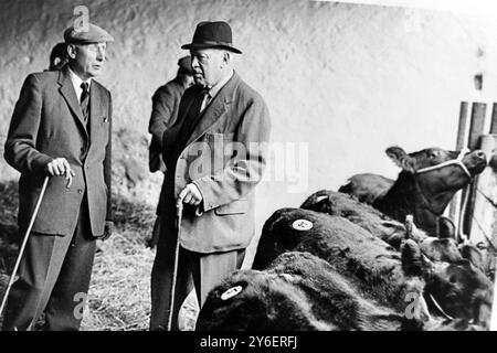 ENCHÈRES COMTE DE ROSEBERRYS ABERDEEN ANGUS HERD À ÉDIMBOURG ; 1ER OCTOBRE 1962 Banque D'Images