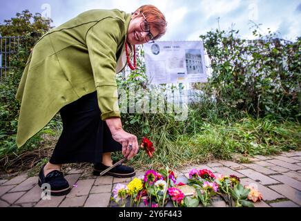 Schwerin, Allemagne. 25 septembre 2024. Johanna Dunken, la petite-fille d'Emma Tiesel, dépose des fleurs sur la pierre d'achoppement de sa grand-mère à Heinrich-Mann-Straße. Emma Tiesel était membre des témoins de Jéhovah et a courageusement résisté au national-socialisme. Au total, douze nouvelles Stolpersteine sont posées à Schwerin. L'artiste Demnig, basé à Cologne, a posé les pierres avec des plaques de laiton devant les derniers lieux de résidence du peuple. Crédit : Jens Büttner/dpa/Alamy Live News Banque D'Images