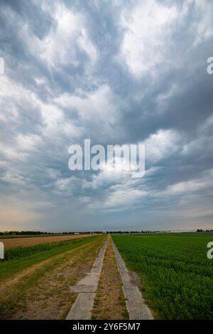 Une petite route disparaît au loin sous des nuages d'orage inquiétants Banque D'Images