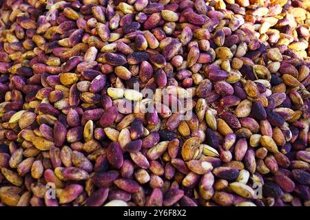 Pistaches fraîchement récoltées à vendre sur un marché dans la vieille ville de Gaziantep : photo en gros plan de noix non pelées crues avec des peaux roses et violettes. Banque D'Images