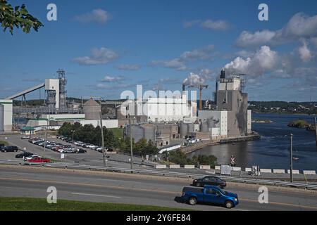 Irving Pulp and Paper Limited, anciennement Irving Pulp Mill, Reversing Falls, est une entreprise privée située à l'ouest de Saint John, au Nouveau-Brunswick, en Canad Banque D'Images