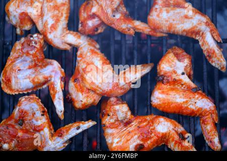 Des ailes de poulet sur le tabagisme grill dans le jardin Banque D'Images