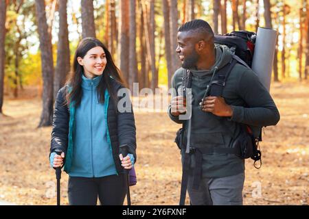 Groupe multiracial de randonneurs s'amusant tout en faisant du remballage en forêt Banque D'Images