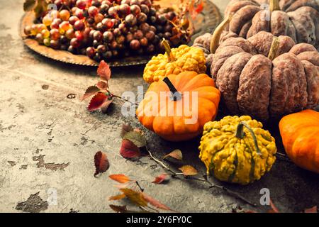 Nature morte avec des citrouilles et des raisins pour Thanksgiving dans un style vintage Banque D'Images