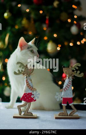 Deux rennes tiennent un flocon de neige dans leurs mains, avec un chat, un arbre de Noël et des lumières derrière eux. Banque D'Images