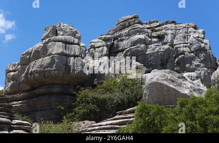 Face rocheuse massive avec végétation verte sous un ciel bleu clair, montagnes karstiques, Torcal Alto, El Torcal de Antequera, Sierra del Torcal, Malaga, Andal Banque D'Images