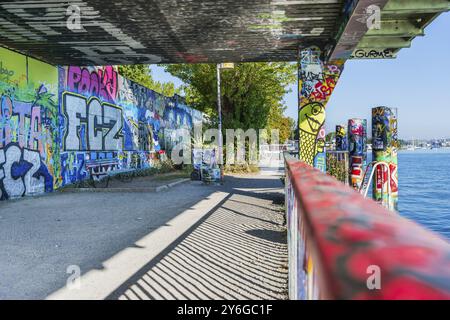 Graffiti sur le lac de Zurich, Street art, lac, Zurich, Suisse, Europe Banque D'Images