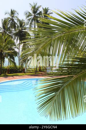 Feuille de palmier devant la piscine au bord de la mer sur une station tropicale Banque D'Images