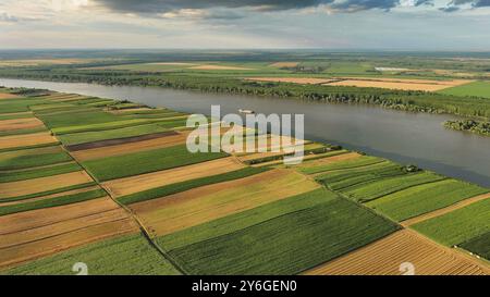 Vue aérienne de champs colorés sur la haute banque du Danube en Serbie Banque D'Images