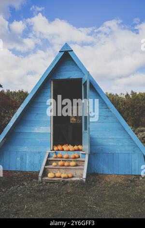Chasse d'automne halloween concept. Citrouilles d'automne dans l'escalier Banque D'Images