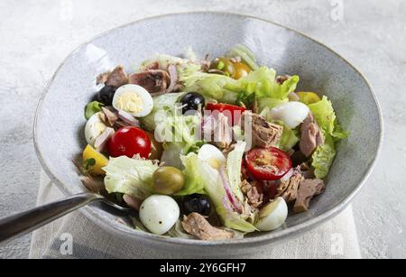 Photographie culinaire, salade avec thon en conserve, salade de légumes avec œufs de caille, laitue, oignon rouge, tomates cerises, olives, keto nourriture, nourriture saine, homem Banque D'Images