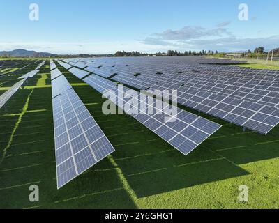 Panneaux solaires sur le terrain en été, vue aérienne drone Banque D'Images