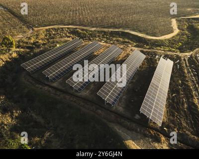 Vue aérienne des panneaux solaires de la centrale solaire sur le vignoble. Panneaux électriques pour la production d'énergie écologique propre Banque D'Images