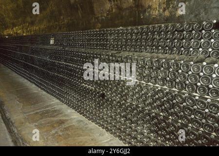 Le vin mousseux est vieilli en bouteilles dans une cave sombre Banque D'Images