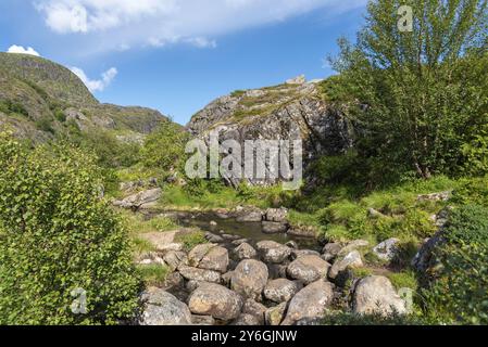 Paysage avec le ruisseau de montagne Studalselva à Munkebu-stig, Sorvagen, Lofoten, Norvège, Europe Banque D'Images