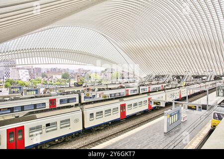 Liège, Belgique, juin 2021 : scène intérieure de la gare de Liege guillemins avec quais et trains en attente de départ, Europe Banque D'Images