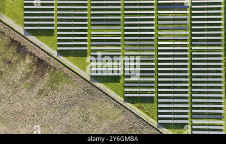 Panneaux solaires sur le terrain en été, vue aérienne drone Banque D'Images