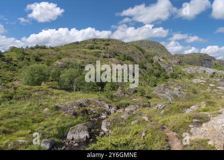 Paysage avec le ruisseau de montagne Studalselva à Munkebu-stig, Sorvagen, Lofoten, Norvège, Europe Banque D'Images