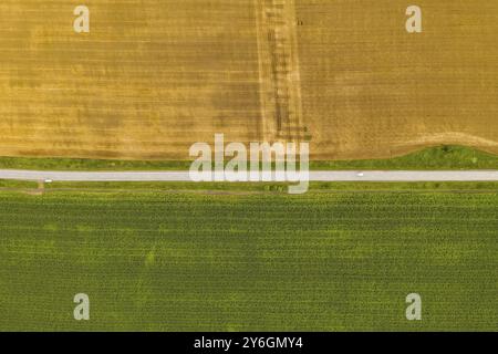 Vue de dessus de l'antenne de la photographie d'un drone avec des terres ensemencées champs verts dans la campagne Banque D'Images