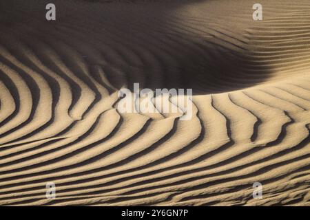 Soufflant sur les dunes de sable dans le vent, le désert du Sahara Banque D'Images