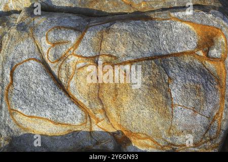 Motif fantaisiste sur une grande texture de fond pavé Banque D'Images