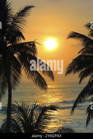 Beau paysage avec coucher de soleil tropical sur la mer et palmiers au premier plan Banque D'Images