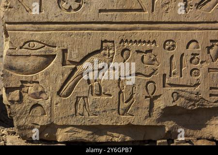 Images de l'egypte ancienne et hiéroglyphes sur le mur Banque D'Images