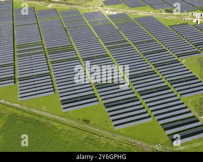 Panneaux solaires sur le terrain en été, vue aérienne drone Banque D'Images