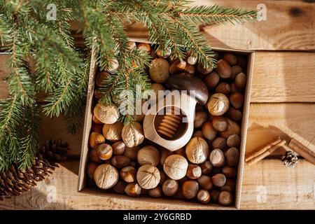 Boîte avec deux types de noix en coquille : noix, noisettes et casse-noisettes en forme de champignon sur fond de bois rustique décoré avec branche de sapin, cônes et Banque D'Images