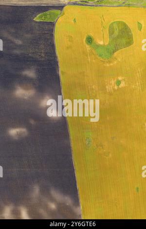 Vue de dessus de l'antenne de la photographie d'un drone avec des terres ensemencées champs verts dans la campagne Banque D'Images