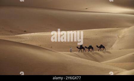 Caravane de chameaux traversant les dunes de sable dans le désert du Sahara, Maroc, Afrique Banque D'Images