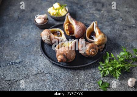 Food, Food, Raw INGREDIENTS ESCARGOT géant de l'océan Pacifique. Gros escargots chiliens, beurre, ail et persil Banque D'Images