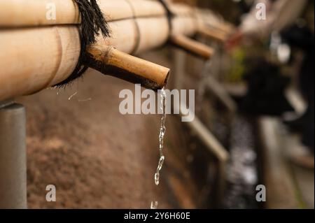 L'eau claire coule doucement des becs de bambou dans un cadre traditionnel, créant une atmosphère tranquille et sereine avec des mouvements doux. Banque D'Images