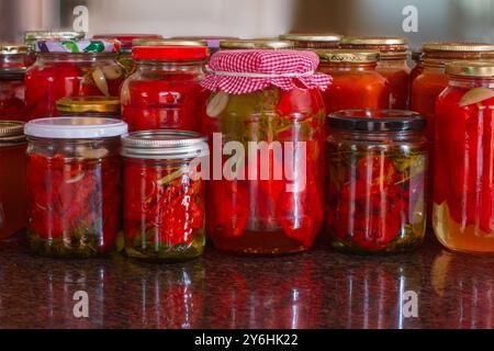 Bocaux en verre avec poivrons rouges marinés, tomates séchées au soleil. Dans l'huile , conserves pour l'hiver, conservation des aliments, fait maison Banque D'Images