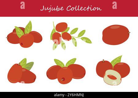 collection jujube dans différentes poses. Illustration vectorielle. Illustration de Vecteur