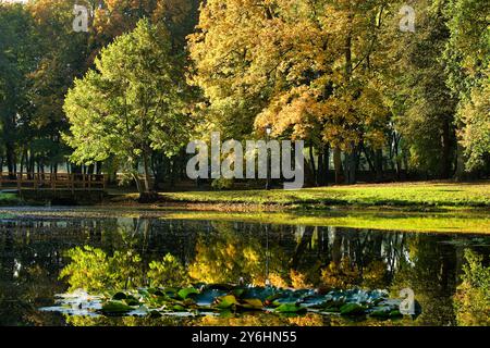 Un parc serein avec des feuillages d'automne vibrants reflétant dans un étang calme. Des arbres verts luxuriants et des feuilles colorées créent un paysage pittoresque, w Banque D'Images