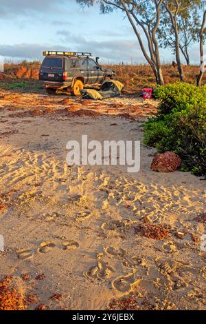 Camping dans un swag à Macassan Beach (Garanhan), avec des pistes de buffles dans le sable au premier plan Banque D'Images