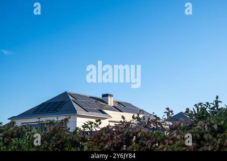 Détail du toit d'une grande maison de luxe avec panneaux solaires photovoltaïques sur un toit en ardoise noire. Plantes vertes au premier plan. Concept de Clean, gre Banque D'Images