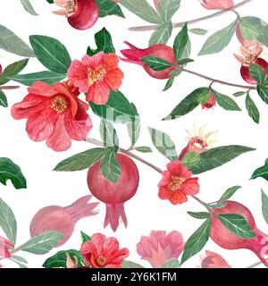 Fleurs de grenade, fruits, feuilles et branches motif aquarelle oriental sans couture isolé sur blanc. Design de fruits réaliste dessiné à la main pour la maison Banque D'Images