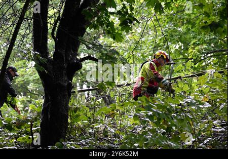 Solingen, Allemagne. 26 septembre 2024. Les employés de l'Agence forestière et du bois de Rhénanie-du-Nord-Westphalie soutiennent la police dans un parc du centre-ville. Le ministère public fédéral est en action pour obtenir d'autres preuves en lien avec l'attaque au couteau et est soutenu par les travailleurs forestiers. Crédit : Roberto Pfeil/dpa/Alamy Live News Banque D'Images