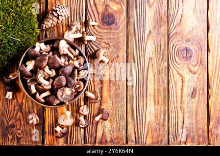 Champignons Tricholoma sur la table de cuisine, champignon comestible dans la forêt d'automne. Banque D'Images