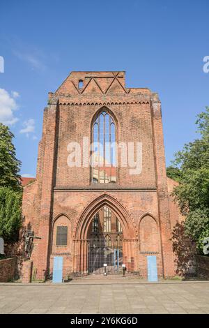 Ruine, Franziskaner-Klosterkirche, 132, Mitte, Berlin, Deutschland Banque D'Images