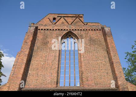 Ruine, Franziskaner-Klosterkirche, 132, Mitte, Berlin, Deutschland Banque D'Images