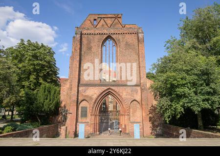 Ruine, Franziskaner-Klosterkirche, 132, Mitte, Berlin, Deutschland Banque D'Images