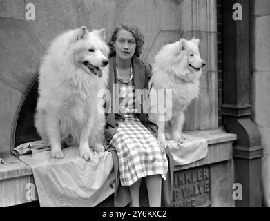 L.K.A. Show à Olympia. Mlle Irene Perry et ses Samoyeds. 'White Fang of Kobe' et 'Boris of Kobe' 1935 Banque D'Images