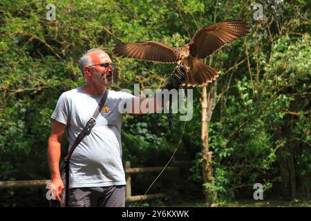 France, Occitanie, département des Hautes Pyrénées (65), région des Baronnies, vallée de l'Aure, Arreau, volerie des pyrénées Banque D'Images