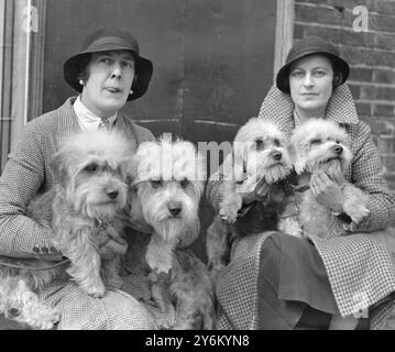 National Terrier Show à Olympia, Londres. Mme Haworth (à gauche) et Mme Stubbs avec leurs Dandy Dinmonts 9 mai 1933 Banque D'Images