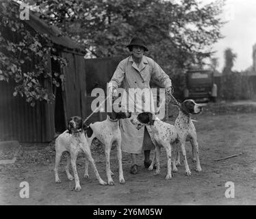 Spectacle du Kennel Club au Crystal Palace London. Mme Sykes et ses pointeurs 1934 Banque D'Images