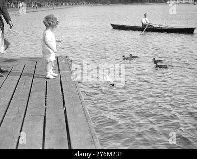 Petit Tommy Sopwith ( fils de 22 mois de Mr et Mme T O M Sopwith ) sur qui l'attention du monde entier est concentrée alors qu'ils contestent l'emprise de l'Amérique sur la Coupe de l'America ( le trophée yachtinhg le plus célèbre du monde ) passé dimanche après-midi au Serpentine à Hyde Park à naviguer sur son yacht modèle qu'il a nommé l'Endeavour - il espère être un yachtsman comme son papa - photo montre petit Tommy Sopwith regardant anxieusement sa course artisanale sur le lac Serpentine à Hyde Park à Londres le 16 septembre 1934 Banque D'Images